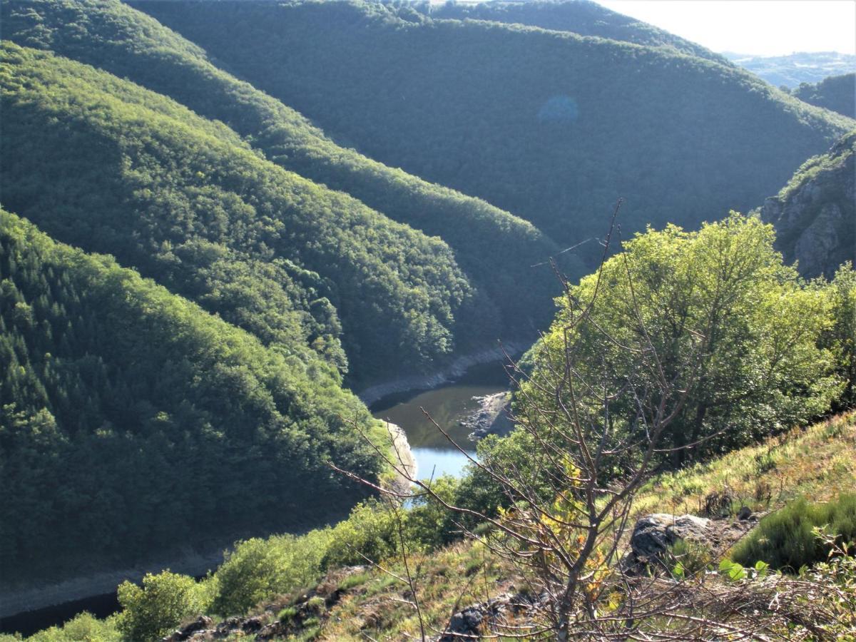 Chalet Nature Sur La Vallee De La Truyere Neuvéglise Dış mekan fotoğraf